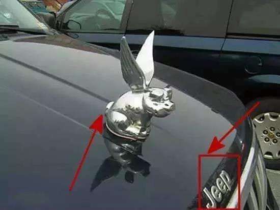 看到第三个宝马车标,再也忍不住笑了