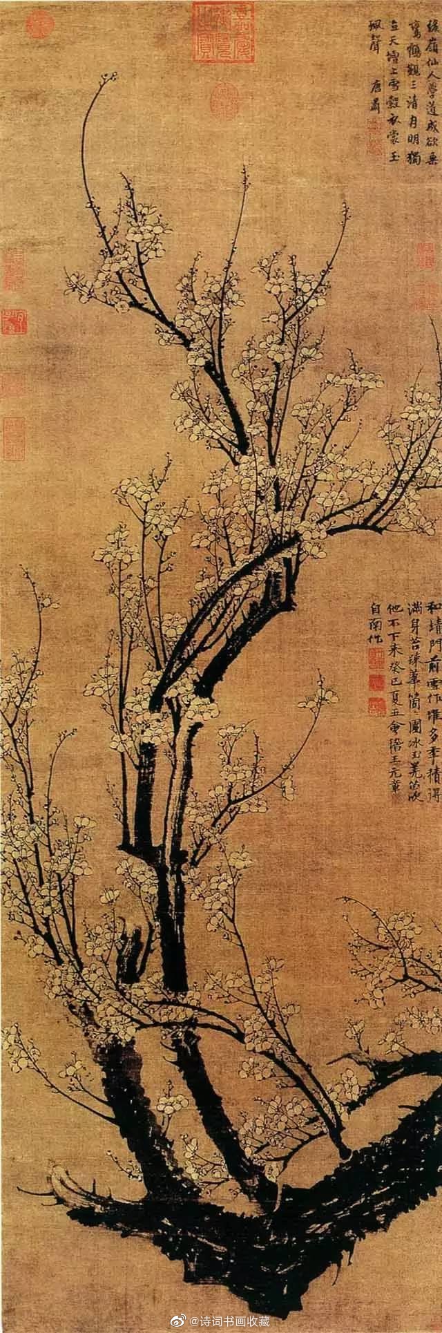 王冕画梅:不要人夸好颜色,只流清气满乾坤
