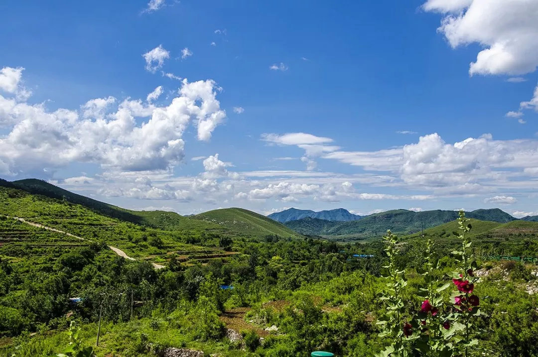 村东一山名岚山,风景秀丽,人杰地灵,原迁安市人民政府副市长徐春瑞就