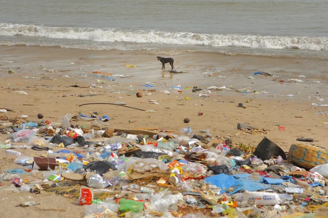 去海南旅游,将来再也看不到白色垃圾了