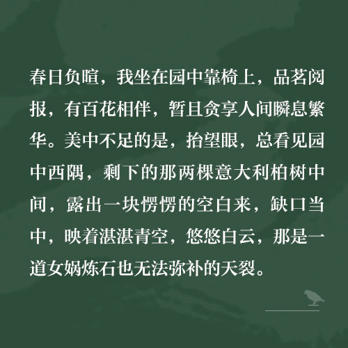 白先勇经典散文集《树犹如此》怀念亲朋挚友,追思故土乡愁|树犹如此|白先勇|文学_新浪新闻