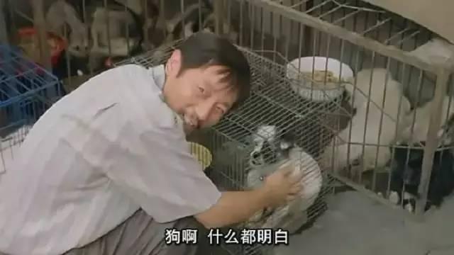 葛优这样“窝囊”，我第一次见