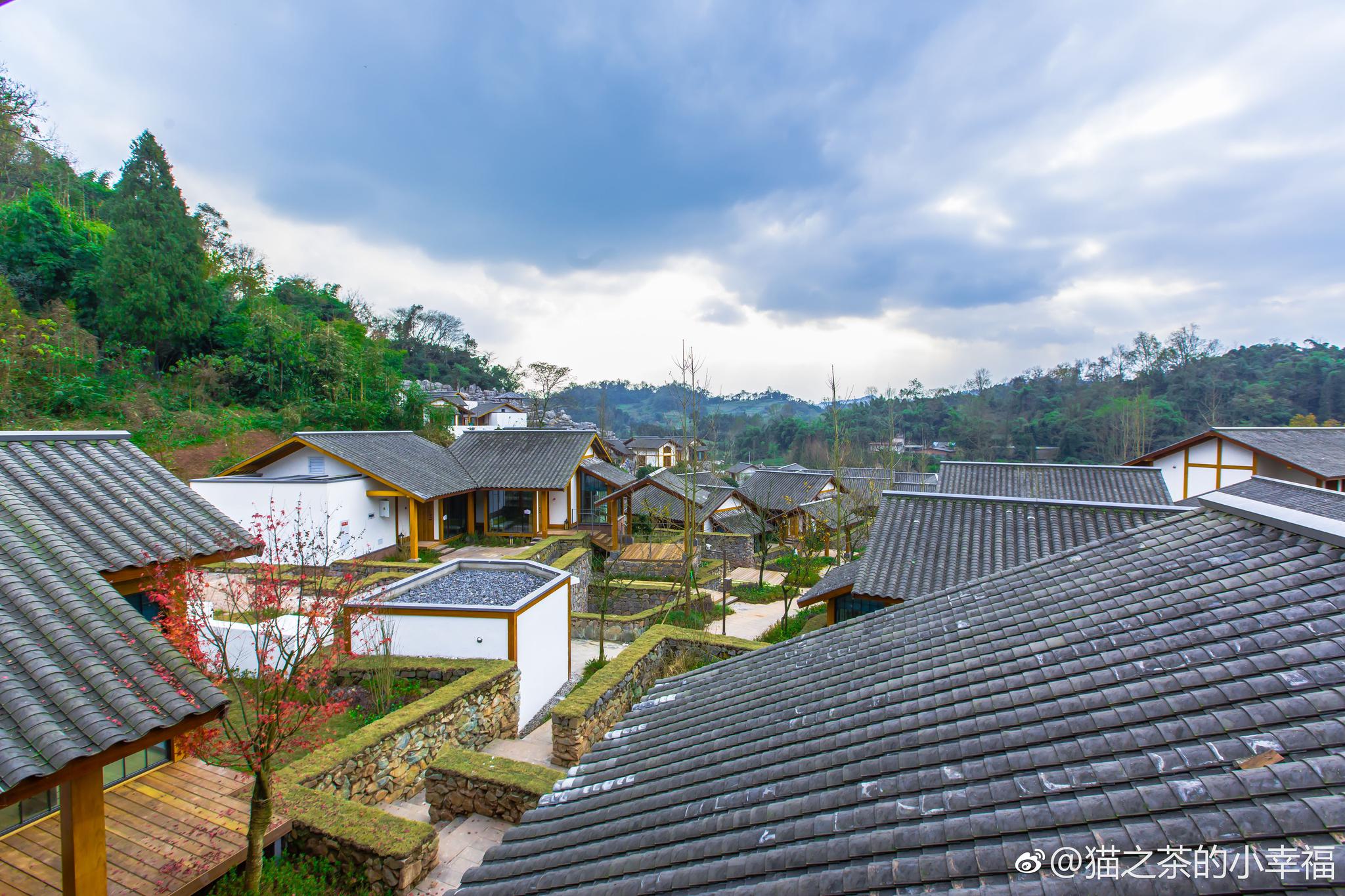 有一间酒店在蒙顶山之上名为花间堂