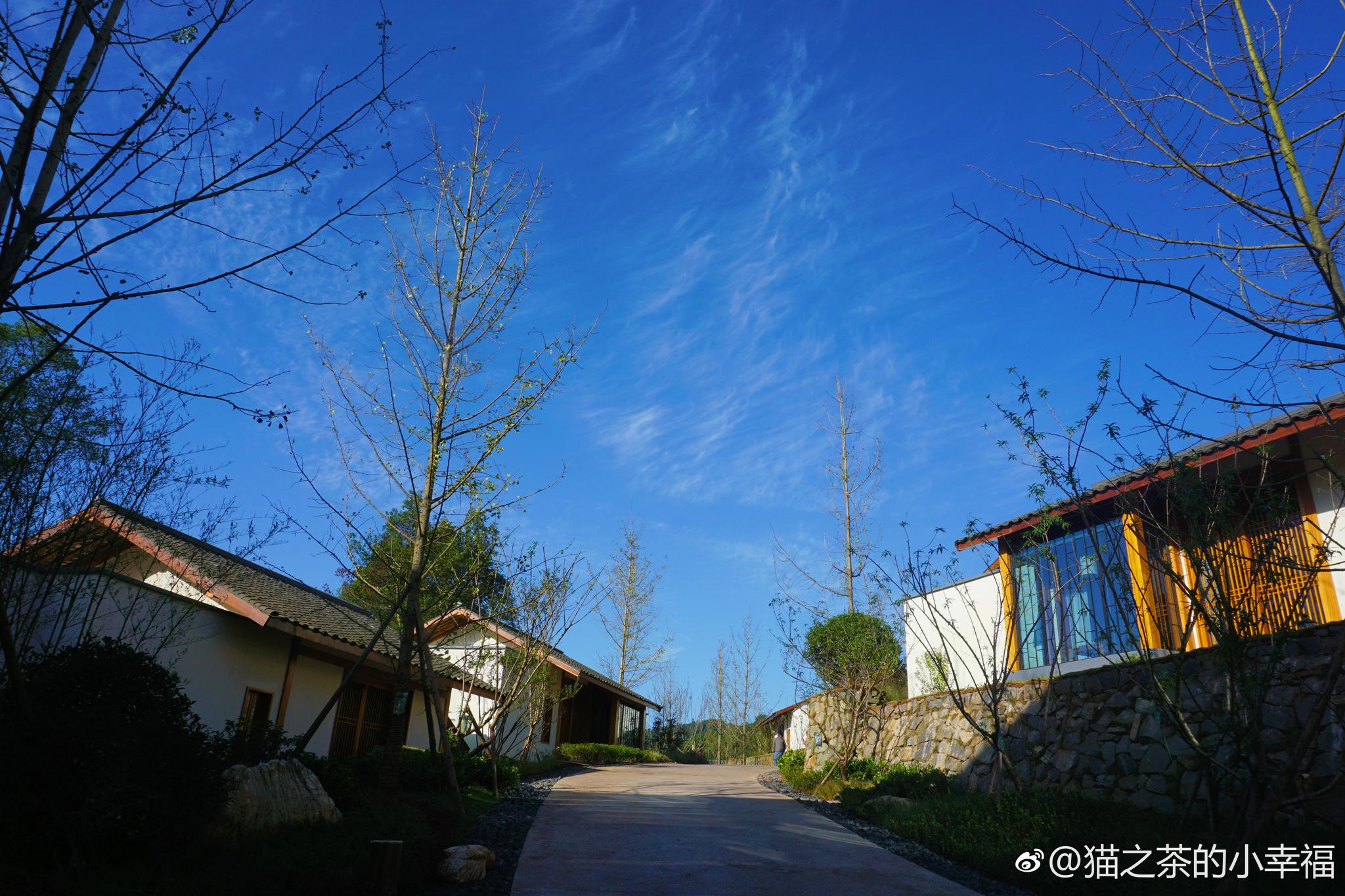 有一间酒店在蒙顶山之上名为花间堂