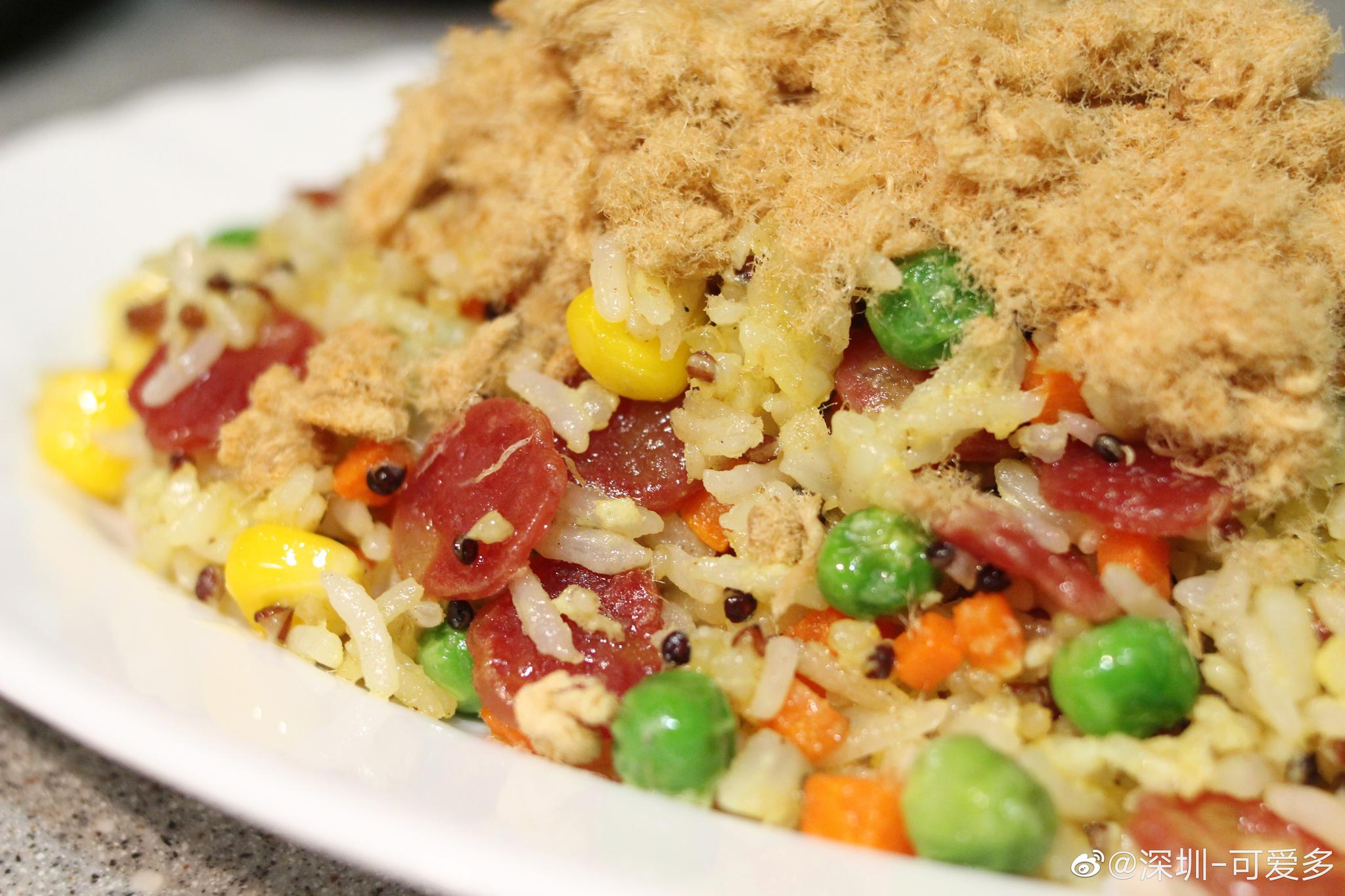 因为一个肉松,你会爱上吃炒饭.它能将普通的炒饭变得完全不同
