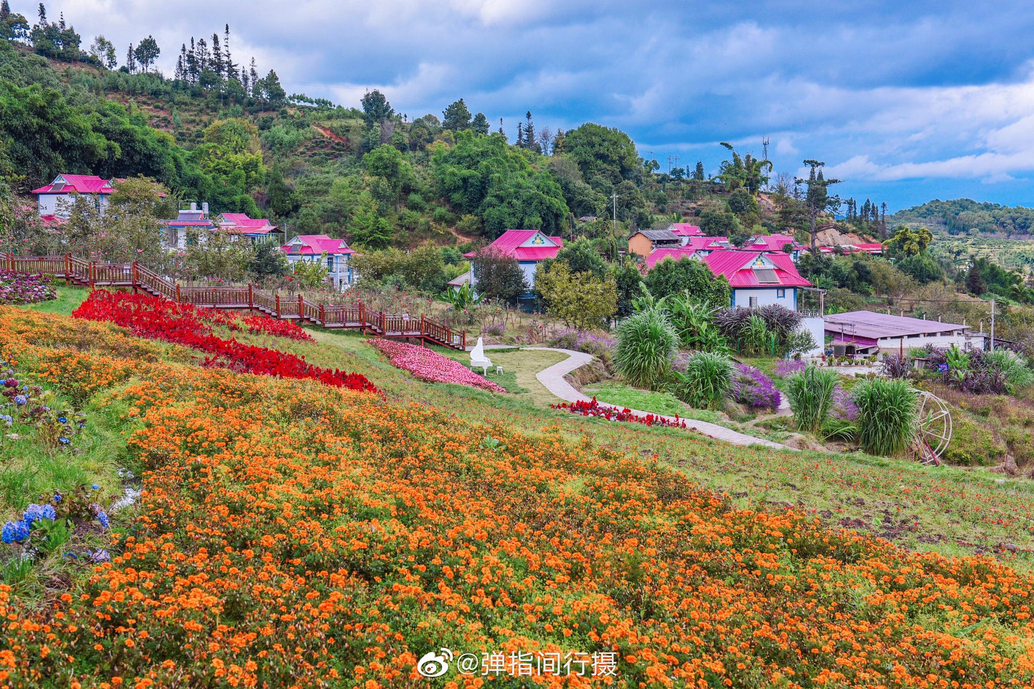 群山峻岭连绵不断,梯田花海错落有致