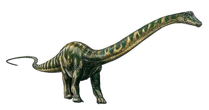 这种恐龙和一种花有关,是最早出现的恐龙,身上还藏着未解之谜