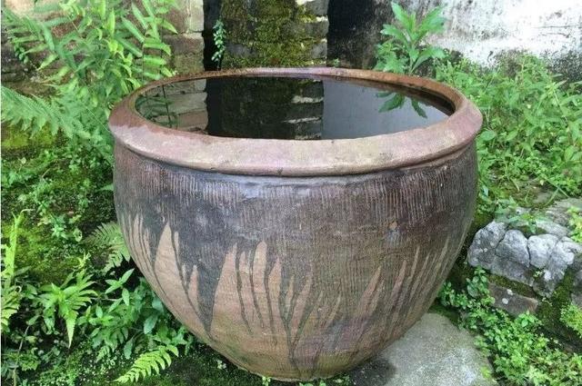 水缸|水景|院子_新浪新闻