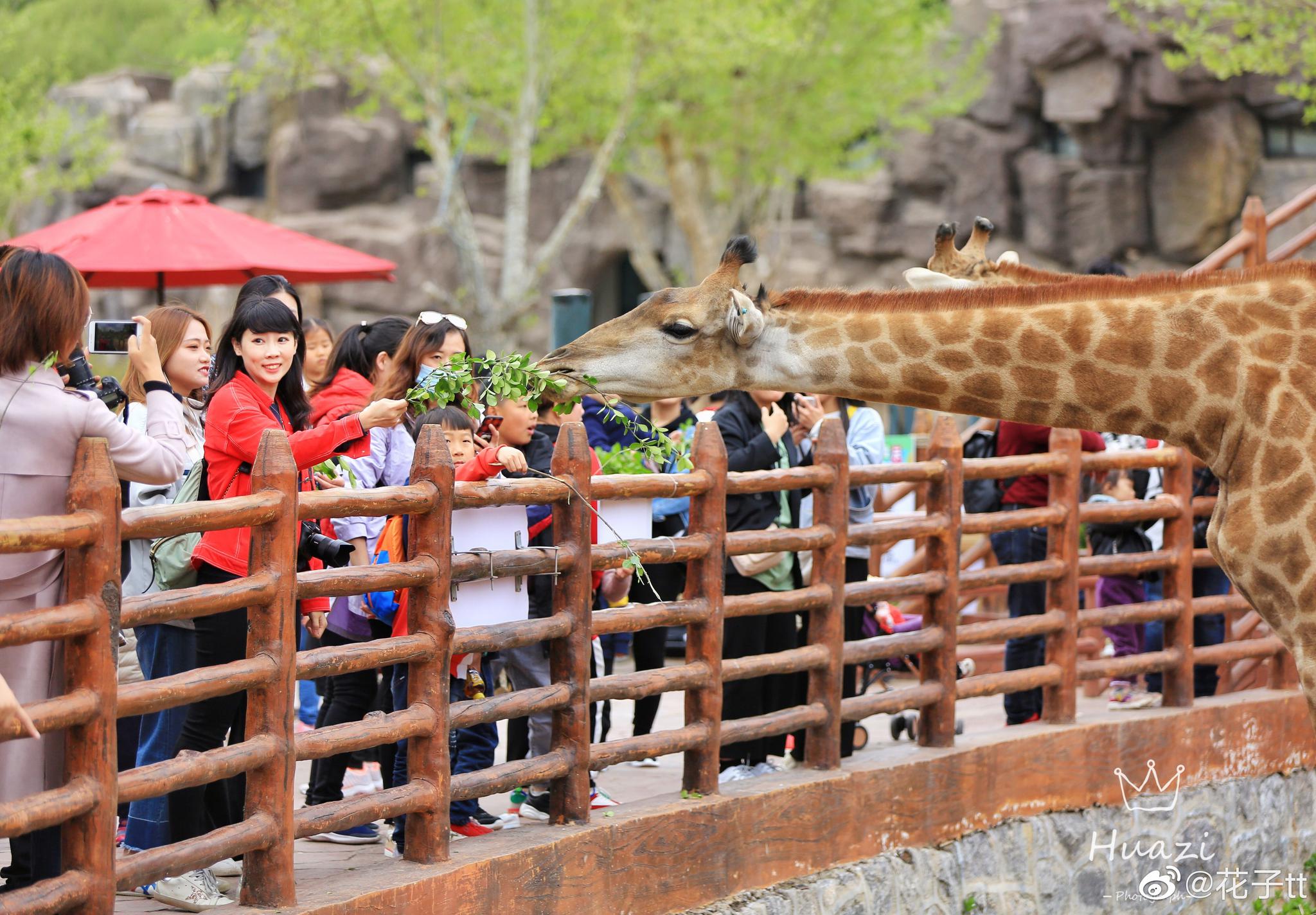 第二次来济南野生动物园