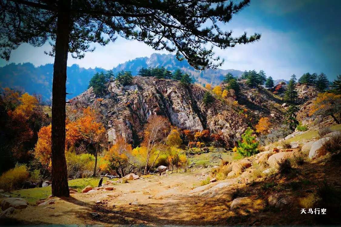 乌拉山顶的大桦背,阴山绝美处