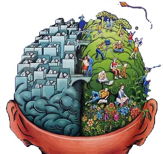 想象力训练的三大方向引领右脑开发