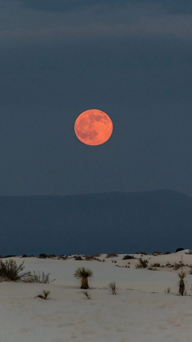辛苦最怜天上月,一昔如环,昔昔都成玦