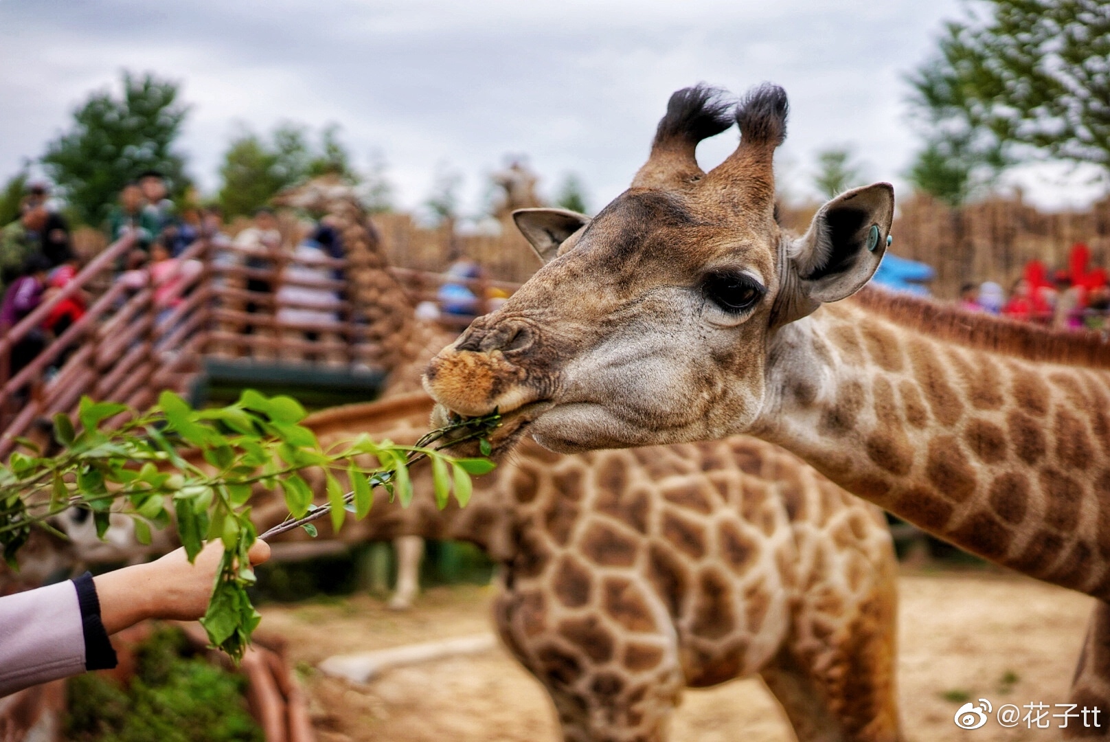 第二次来济南野生动物园