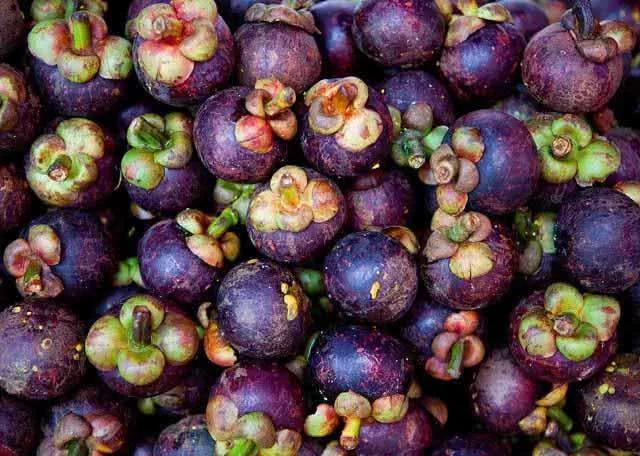 四种颜值超高的紫色水果妖艳的颜色都不忍心吃你都吃过吗