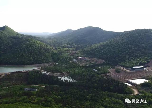 春风十里不如放假约起庐江有个地方漫山遍野花开成海