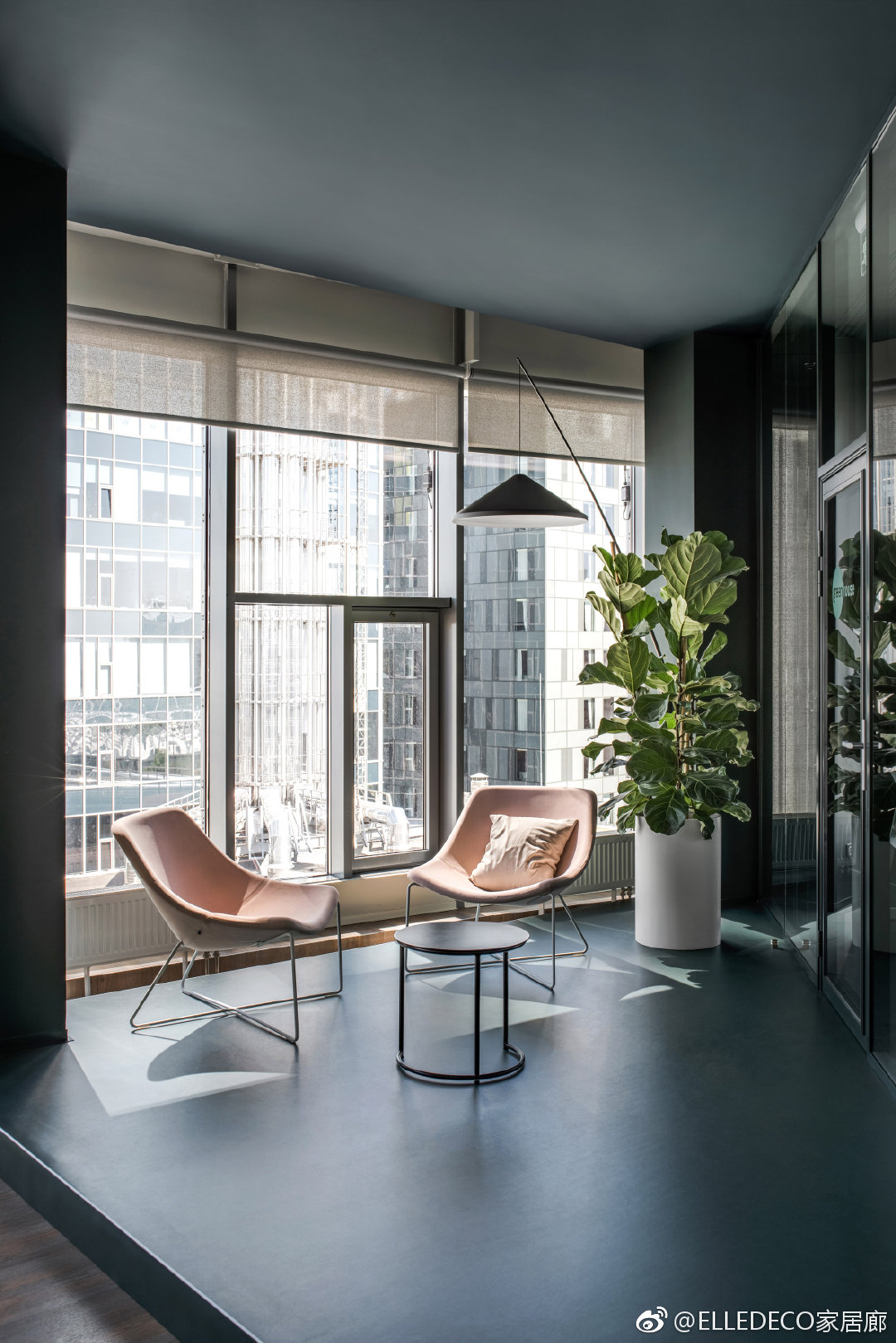 乌克兰基辅,年轻创业公司的活力空间,grammarly办公室