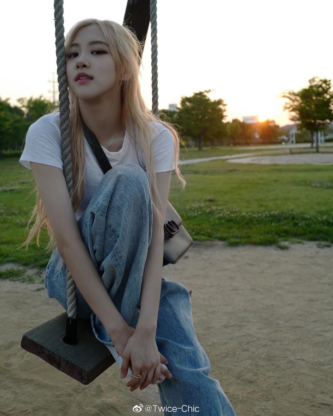 rose朴彩英lisa镜头中仙游岛公园秋千上的澳洲玫瑰