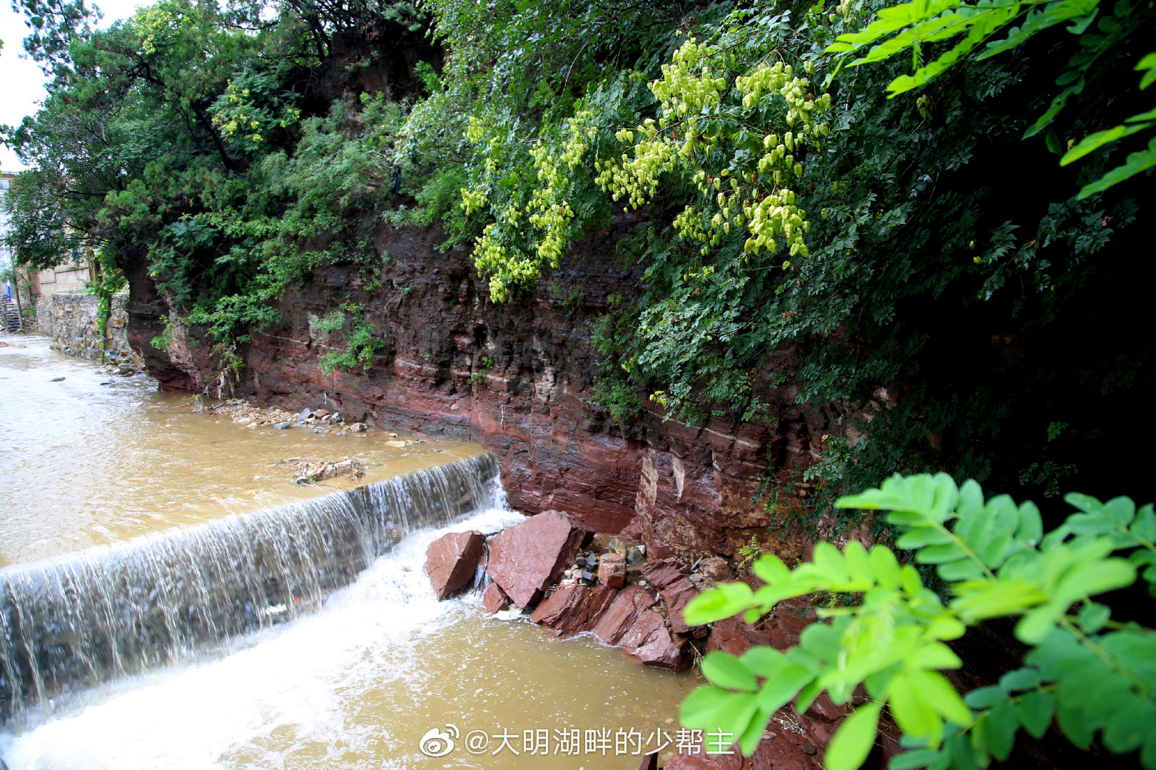 柳埠镇seo网站排名