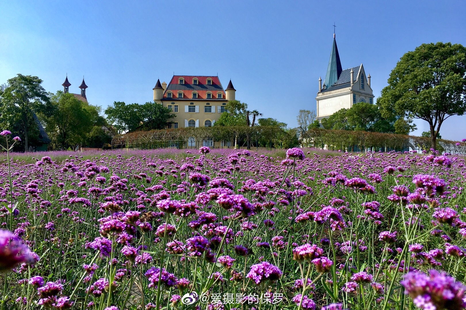武汉花博汇景区一个很适合去拍婚纱照的地方如果你爱拍照