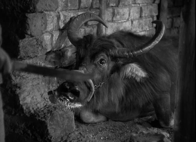 送审16次,拍摄3年半,这部美国大片,美国影后在片中扮演中国人