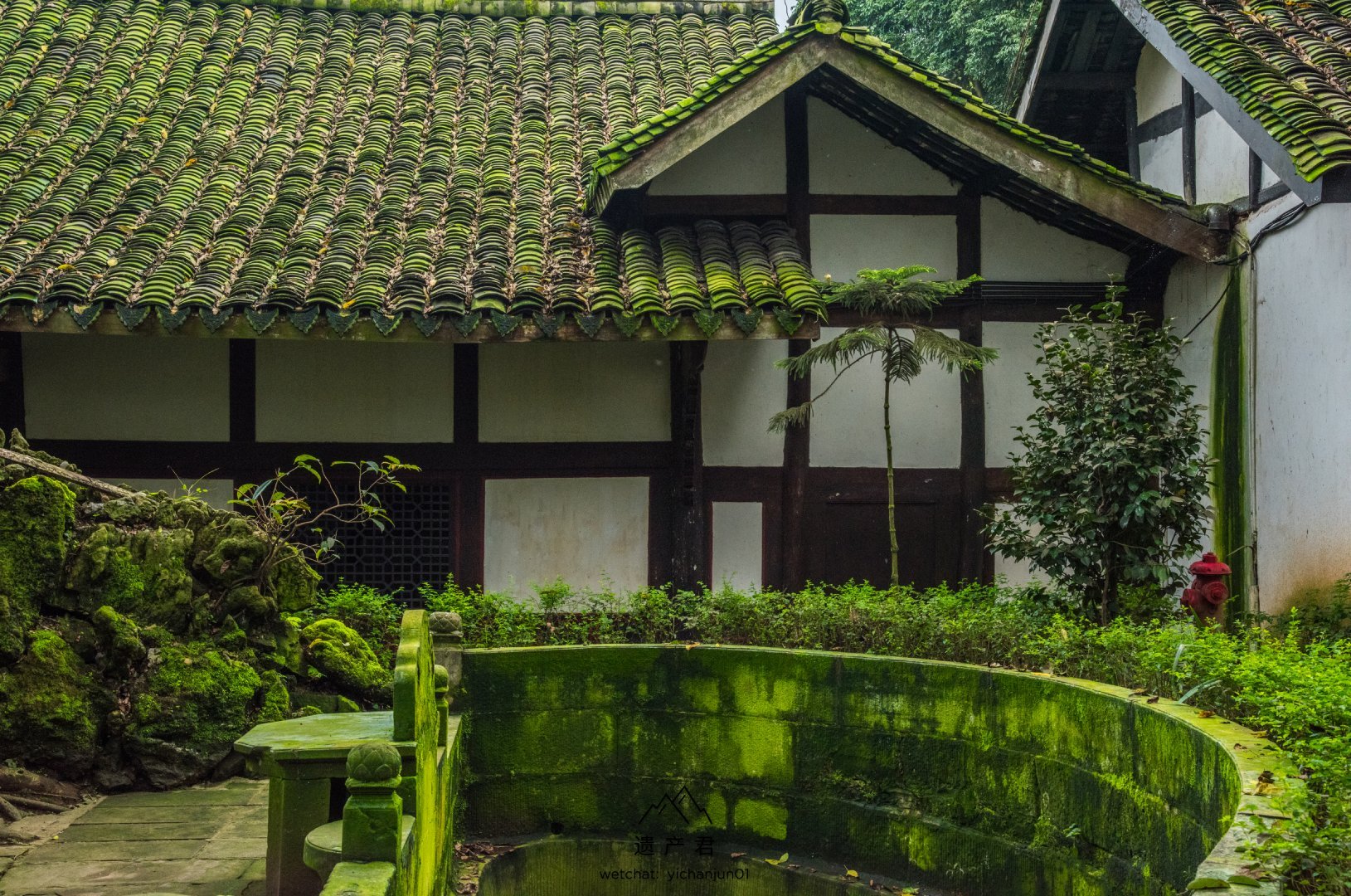 青苔绿意的四川民居