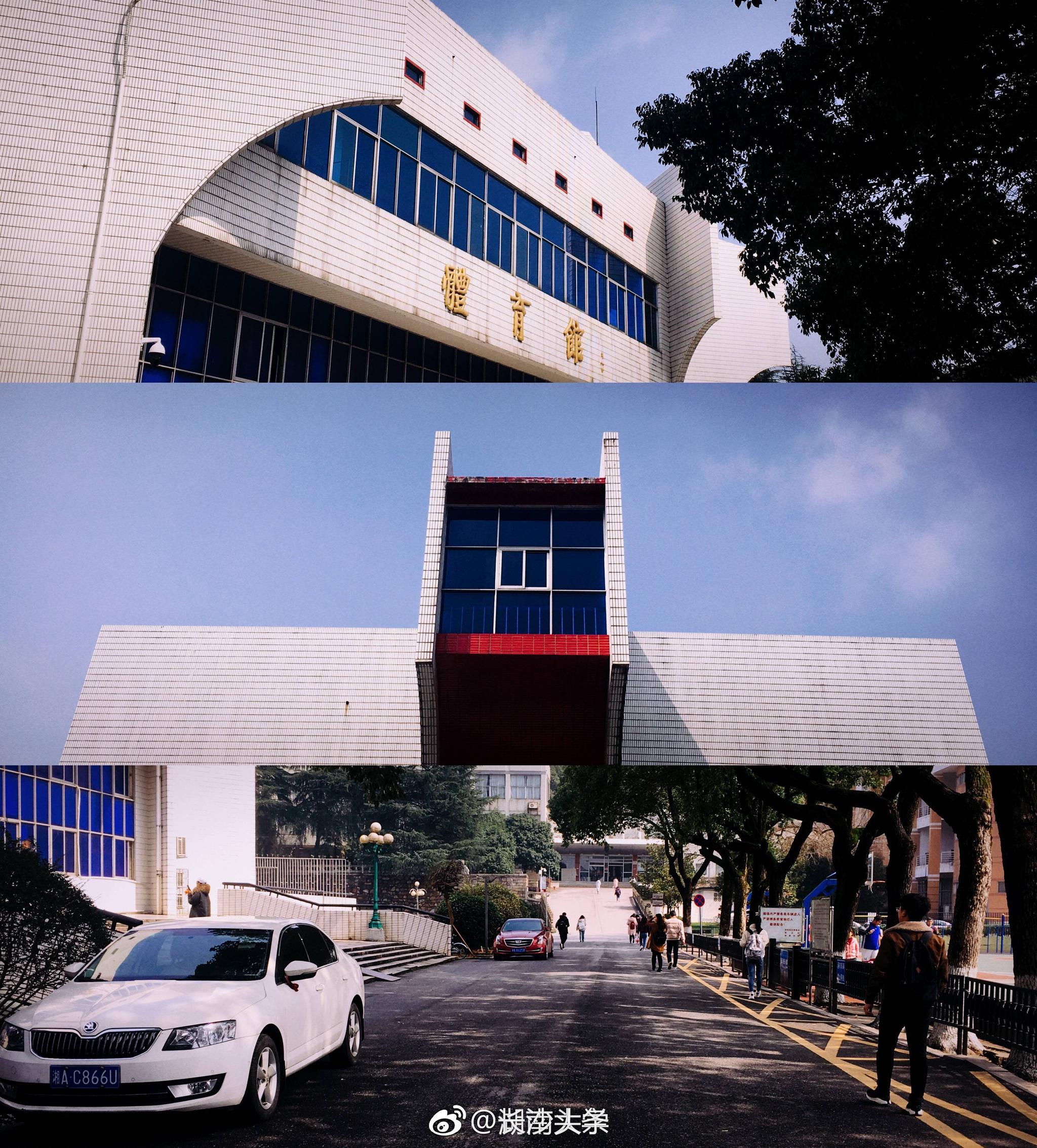 终于等到又一个晴天呀77在校区寻找春日的气息sakuratin6767