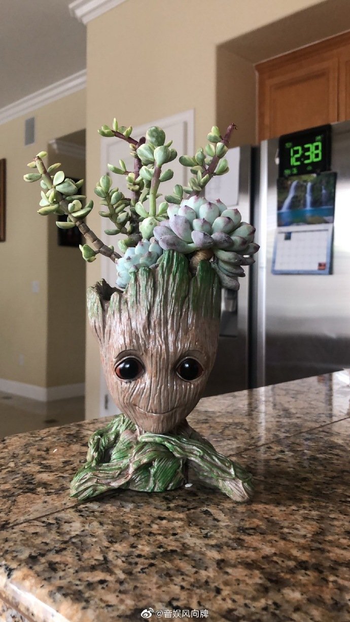 复联4里的树人格鲁特groot盆栽太可爱了吧买他买他买他