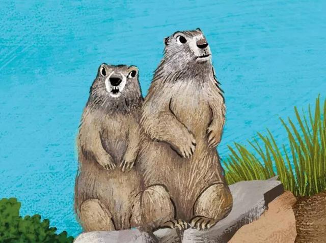 还说孩子不爱看书?可能是你不懂这些选书秘诀