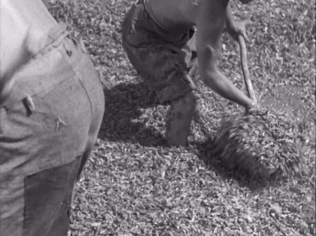 送审16次,拍摄3年半,这部美国大片,美国影后在片中扮演中国人