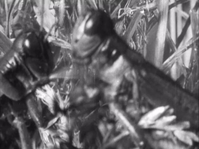 送审16次,拍摄3年半,这部美国大片,美国影后在片中扮演中国人