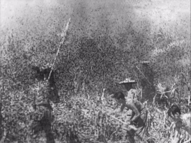 送审16次,拍摄3年半,这部美国大片,美国影后在片中扮演中国人