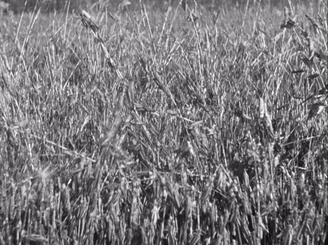 送审16次,拍摄3年半,这部美国大片,美国影后在片中扮演中国人