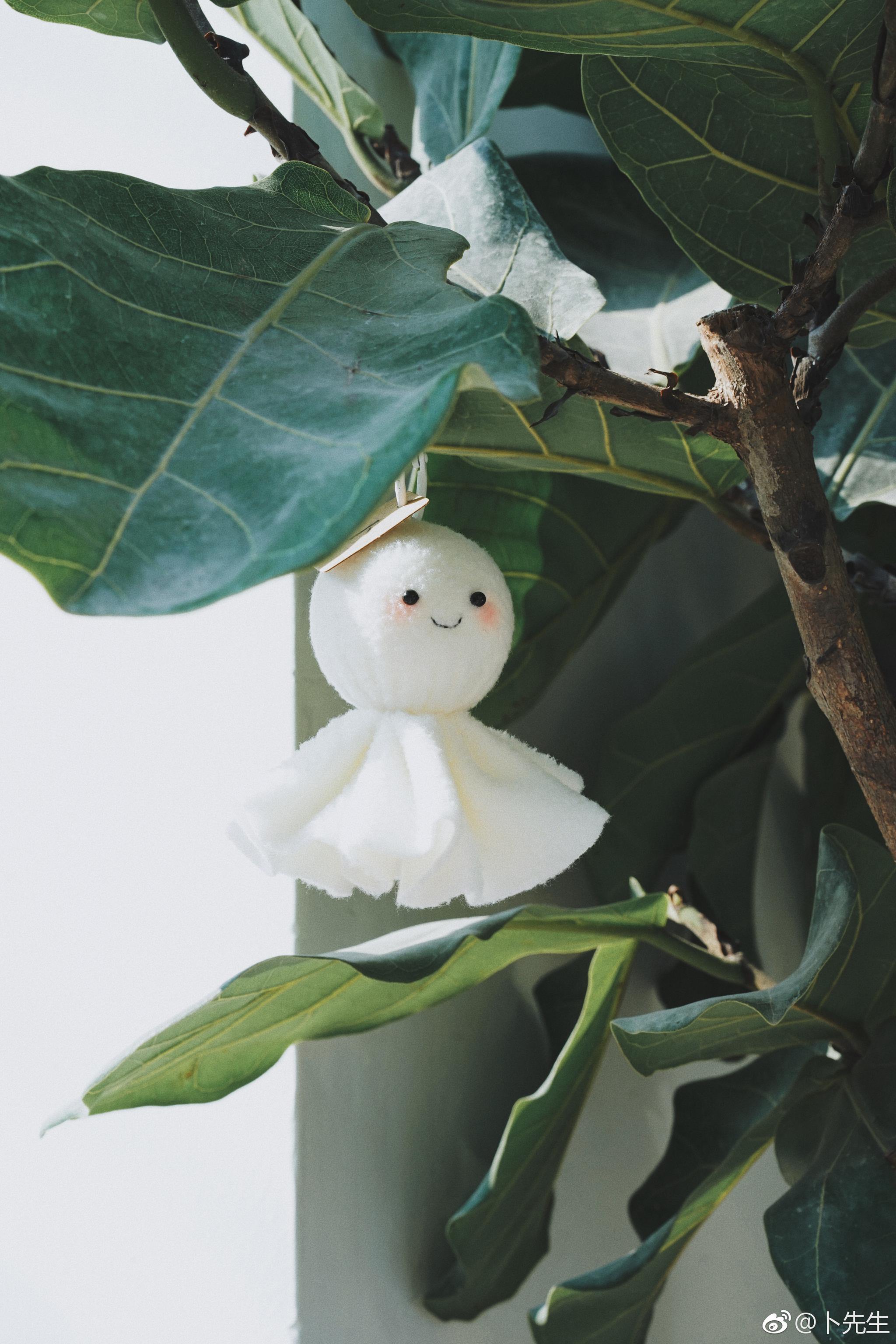 给江浙沪宝宝的晴天祈祷