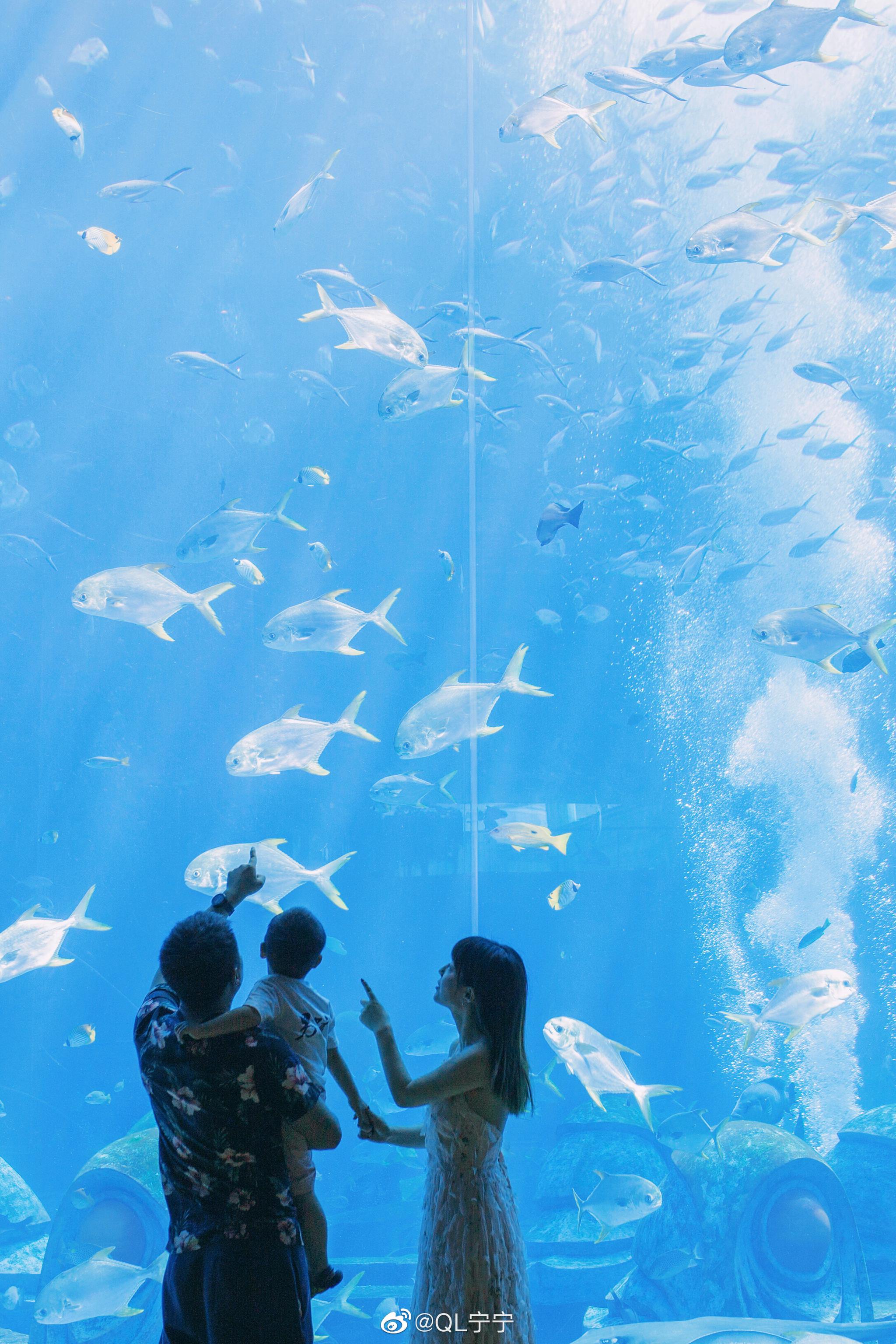 从失落的水族馆,到奥西亚诺海底餐厅,亚特兰蒂斯承包了我的海洋梦
