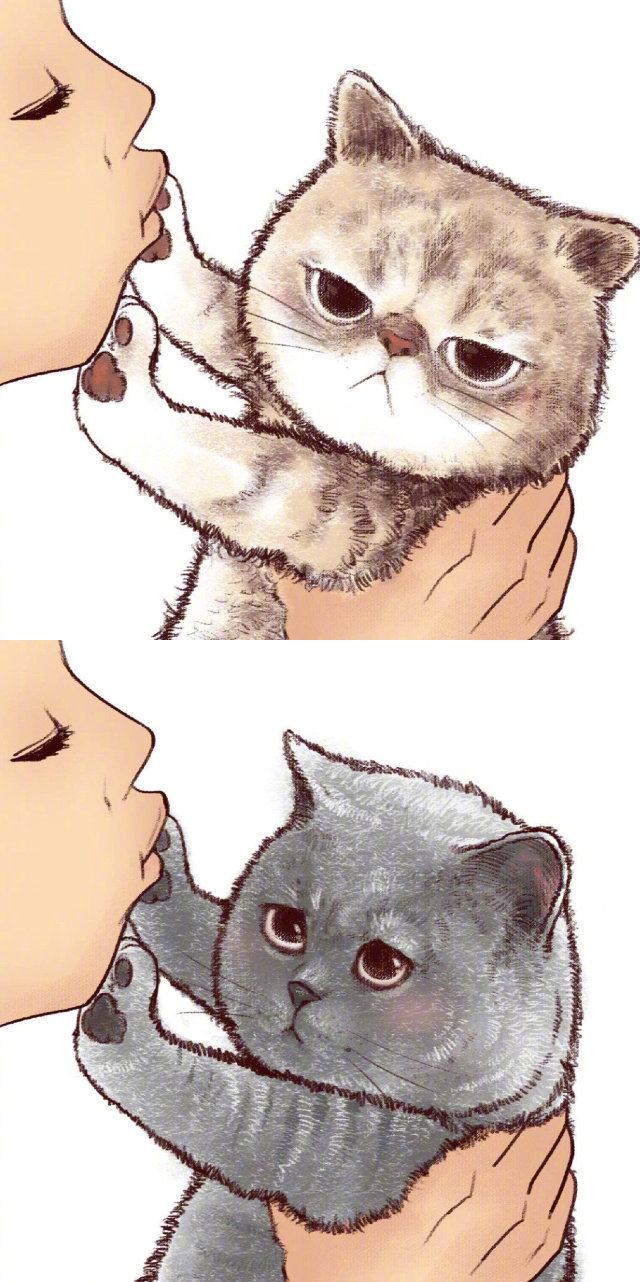 插画师魏大葱有木瓜笔下猫咪嫌弃铲屎官的可爱表情合集