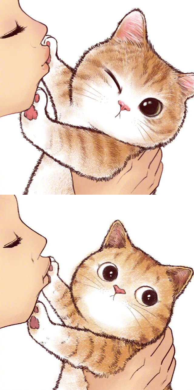 插画师魏大葱有木瓜笔下猫咪嫌弃铲屎官的可爱表情合集