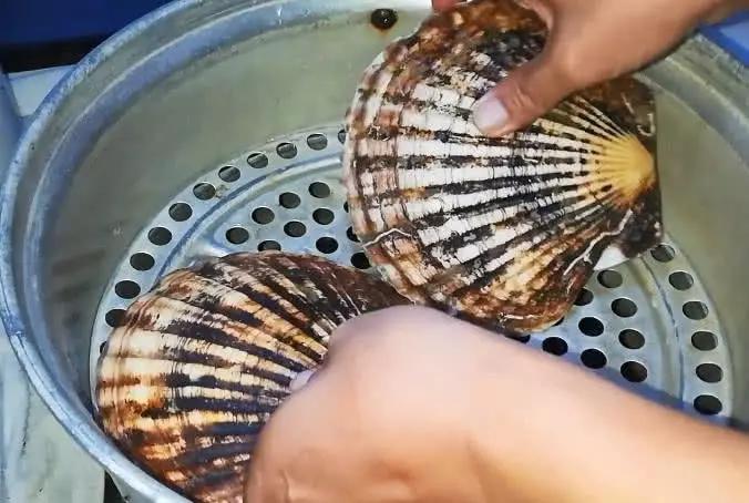 大叔试吃巨型扇贝,这比普通的高上二十倍价钱的扇贝,吃得真爽快