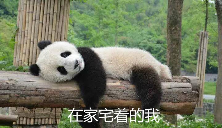 他的恋爱经历比电影都精彩,八年之恋轰轰烈烈,最后输给了爱情