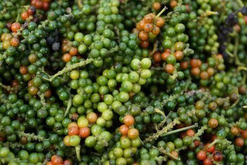 西餐中撒黑胡椒,中餐里加白胡椒,仅一字之别,用错味道差很大