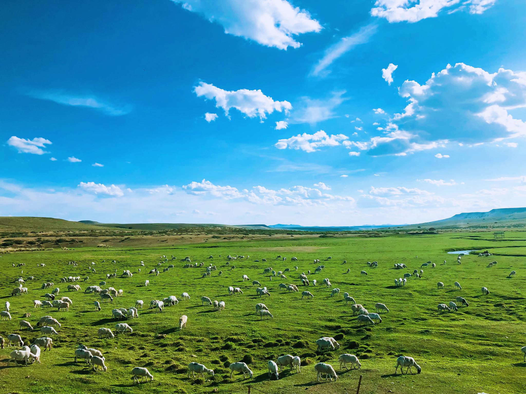 蓝的纯净透亮的天空,配有棉花糖似的云朵|云朵|天空|丝带_新浪网