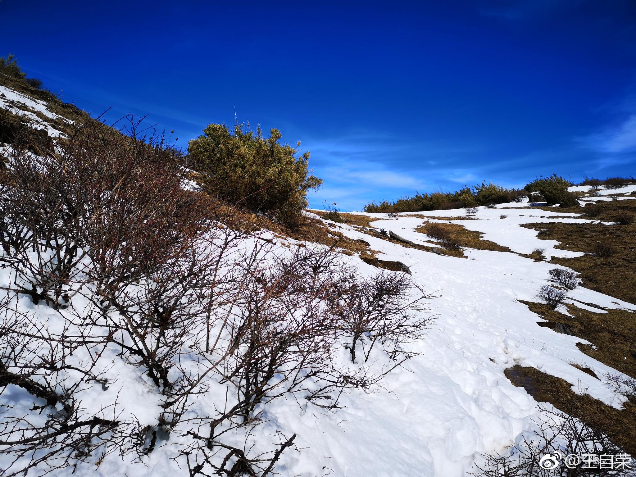 时隔11年,再次登顶临沧最高峰——临沧大雪山主峰,海拔3430米