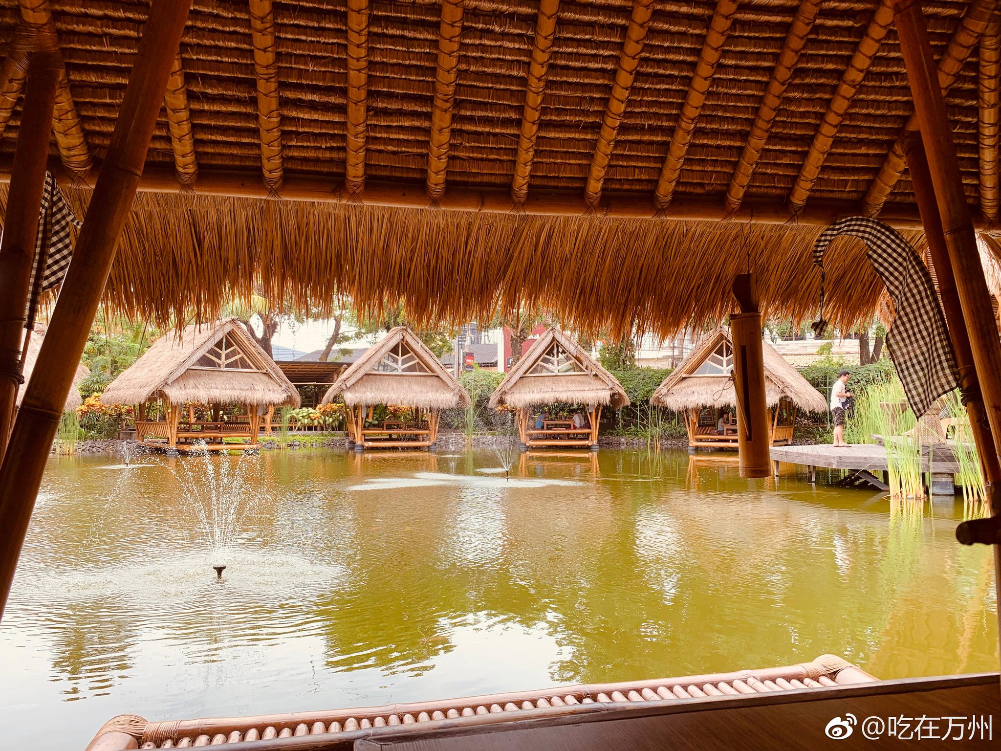 来到巴厘岛,体验一家水上餐厅,用餐前的小娱乐就是给鱼儿们喂食