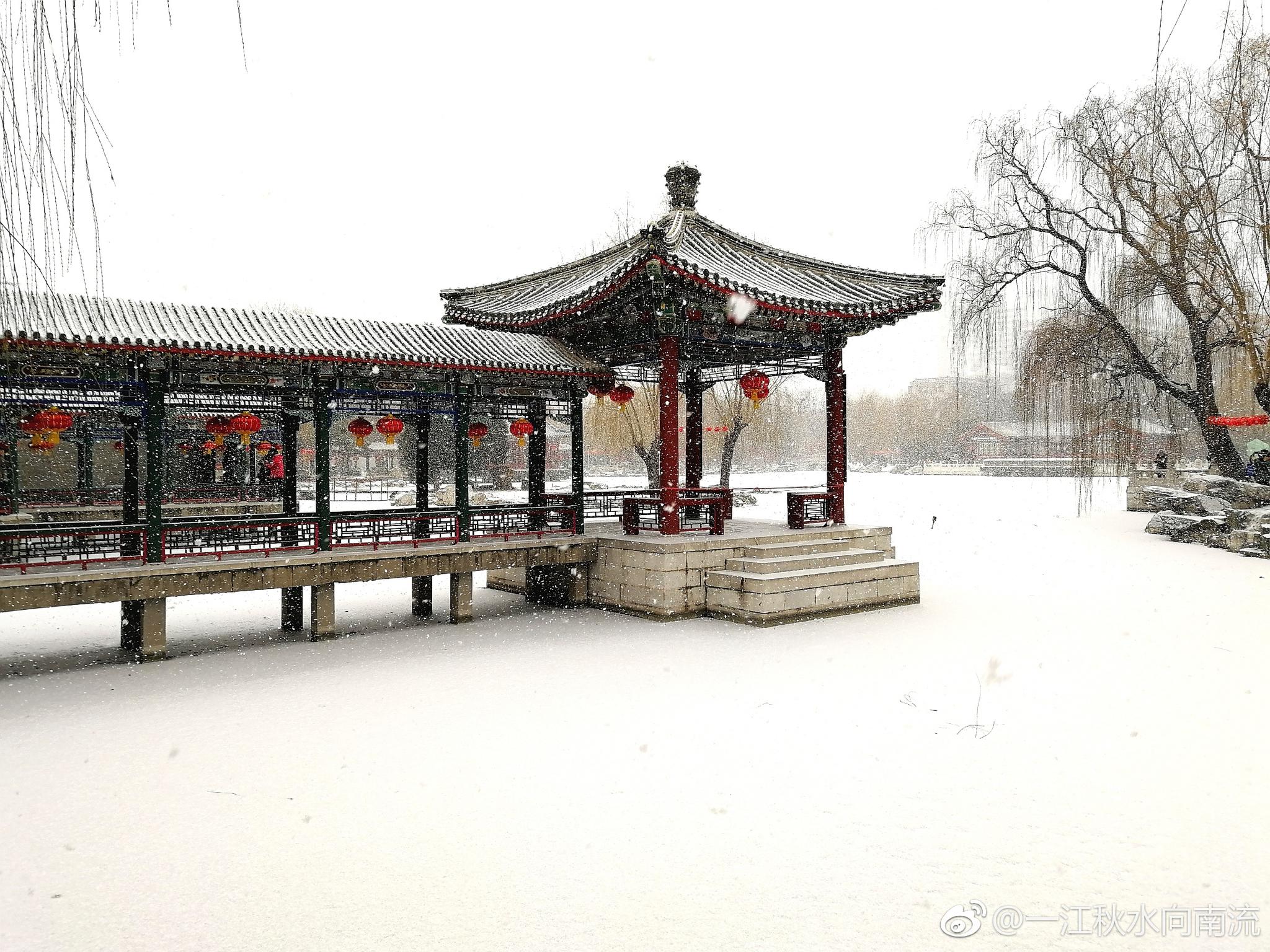 雪中大观园 一场雪景色变成了这样 美 雪中大观园 一场雪景色变成了这样 美