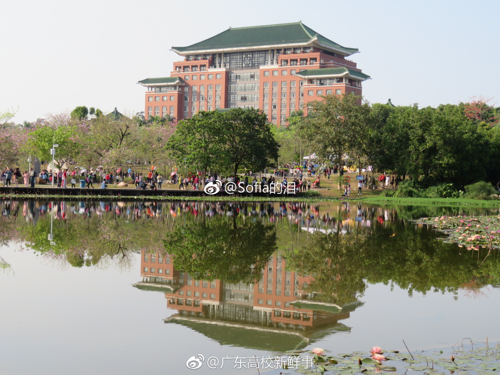 揭秘真相：大学城附近怎么约？学生党亲测靠谱方法与真实经验分享