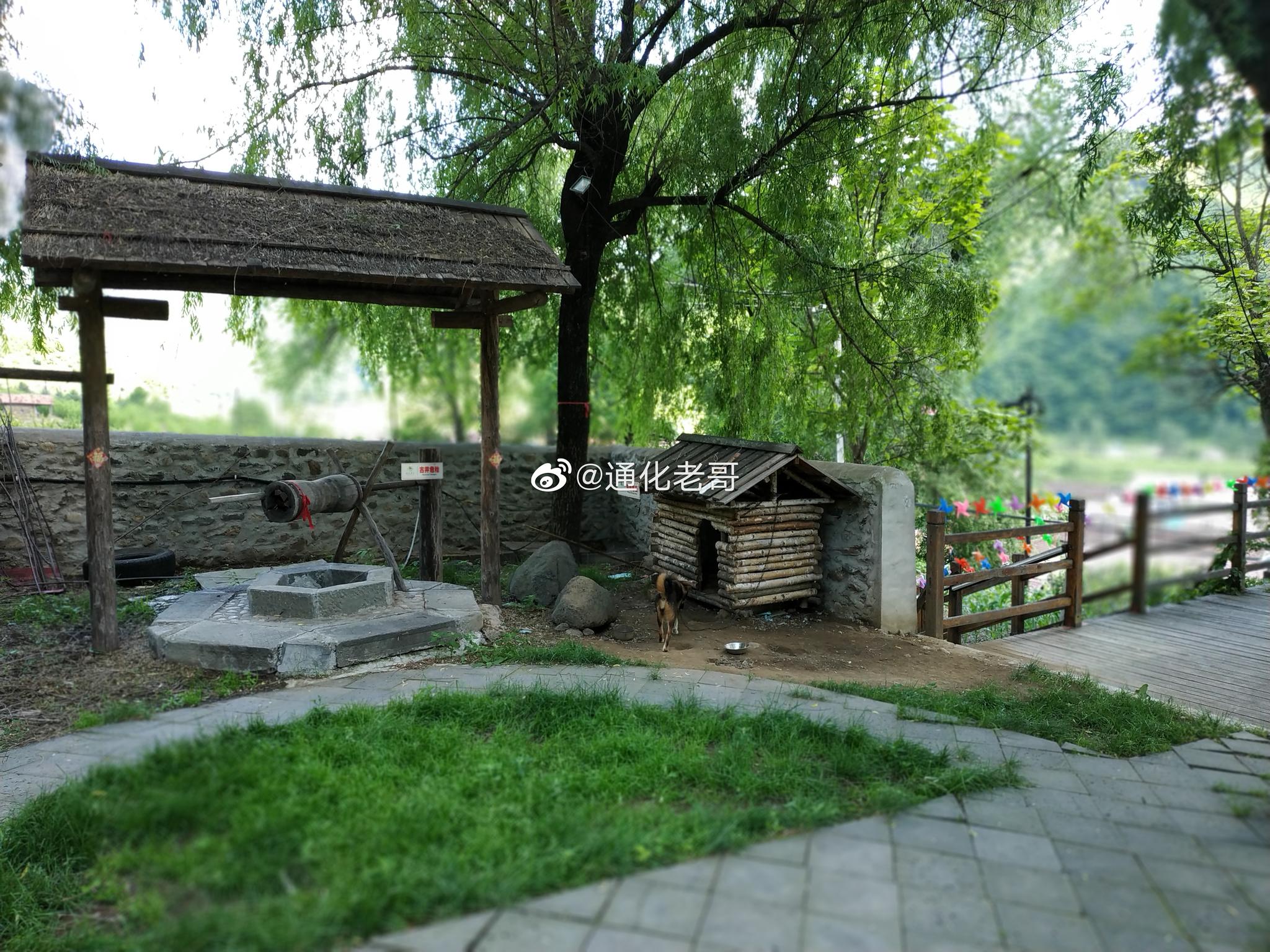 官场之财色诱人小说