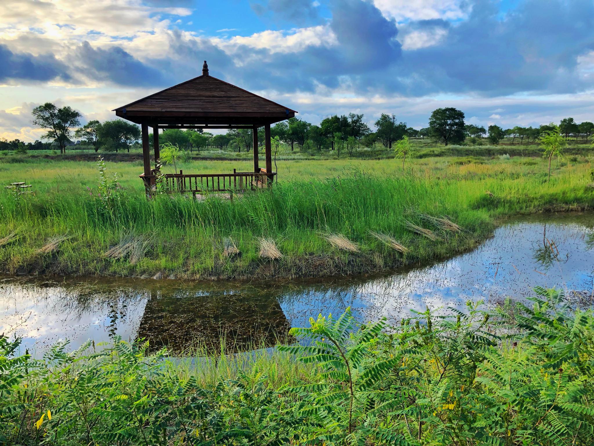 来宁夏旅游哈巴湖一定不能错过它位于盐池县