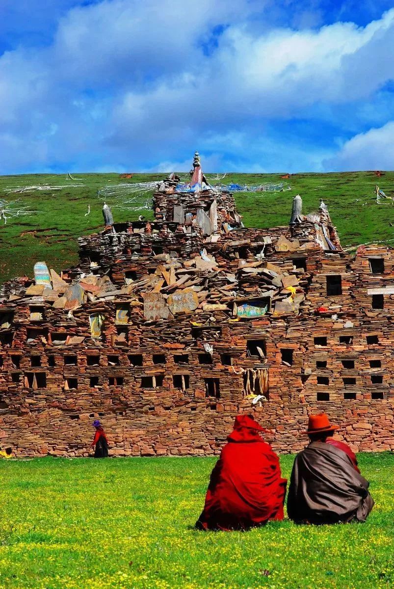 石渠的"高原精灵",总有一个萌到你!|高原|石渠|雪豹_新浪新闻