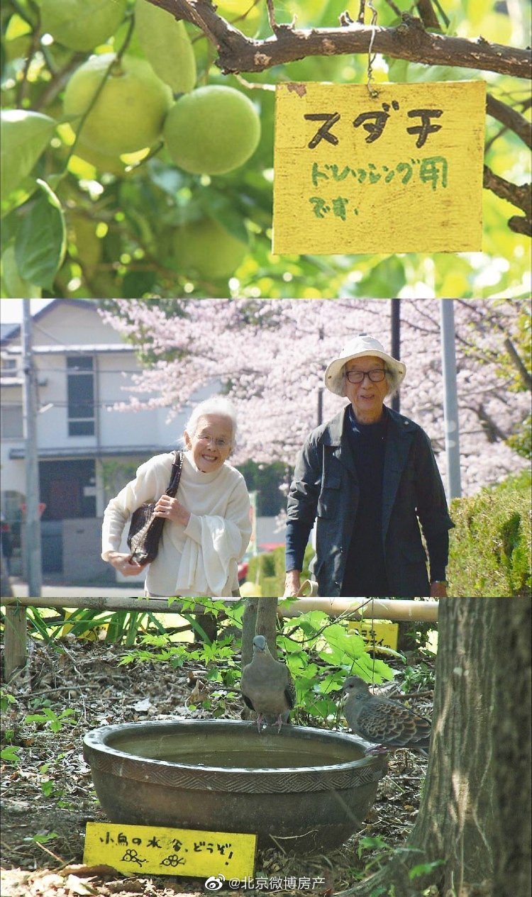 宅在家里的春天 宅在家里的春天