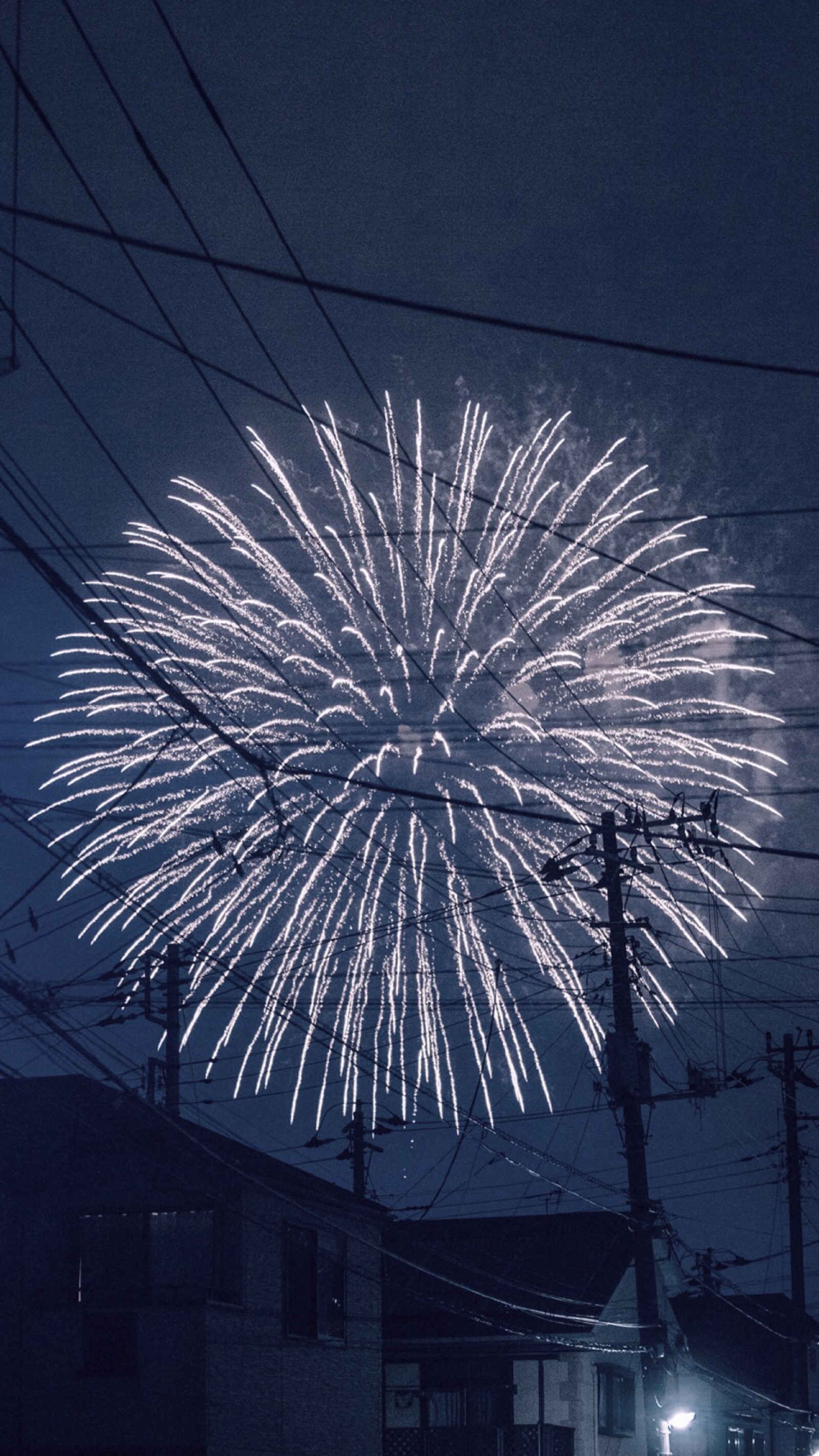 烟花壁纸想和你看