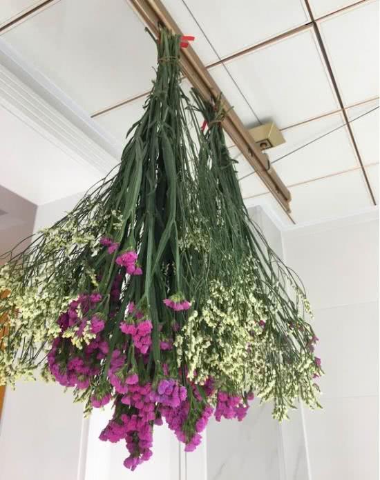 我们这一次使用的干花制作方法呢,叫做"倒挂晾干法".